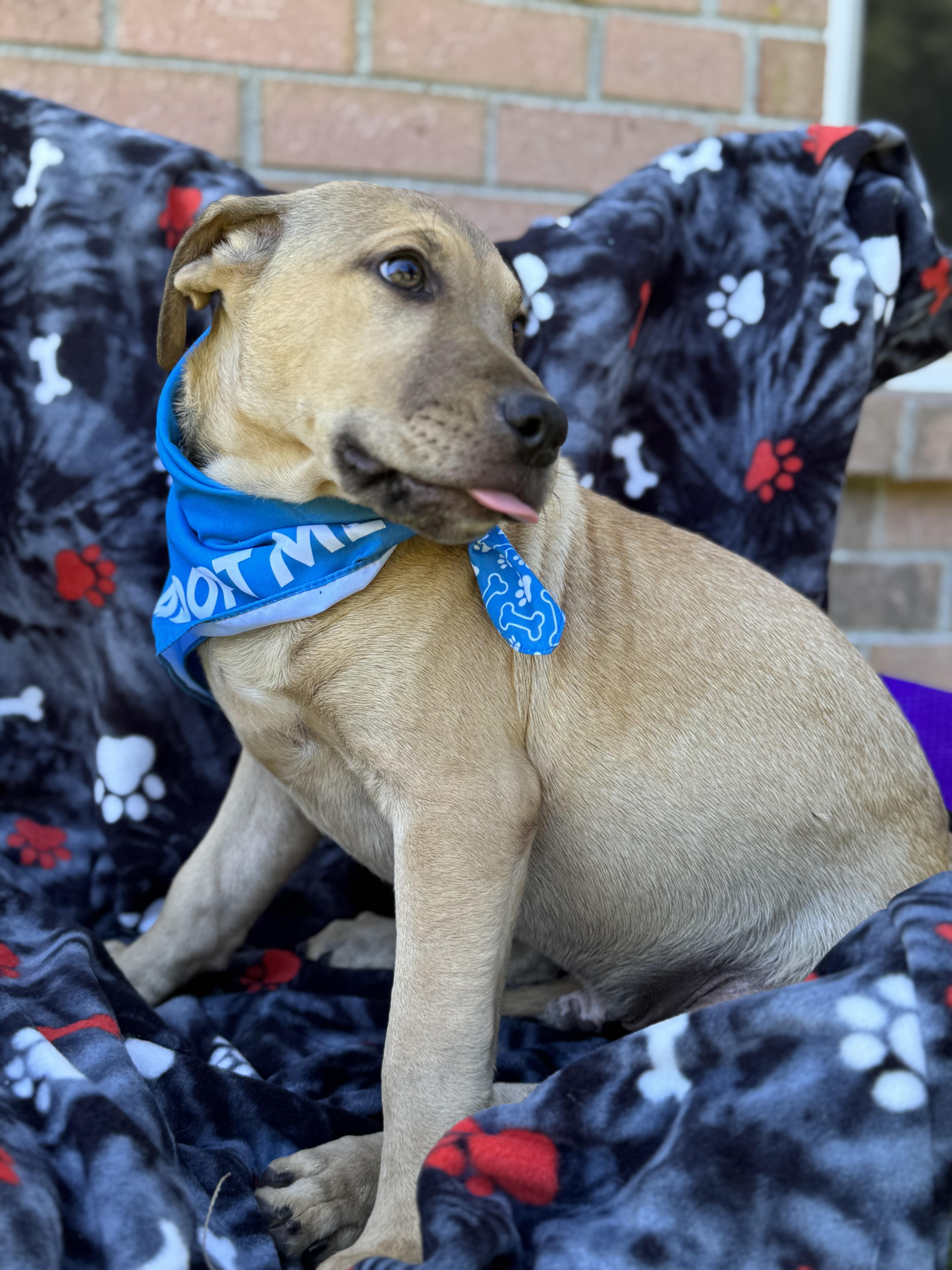 LEO…..Full of mischief and fun!!!!!