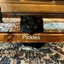 Fiona & Pickles