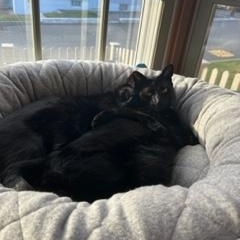 Fiona & Pickles