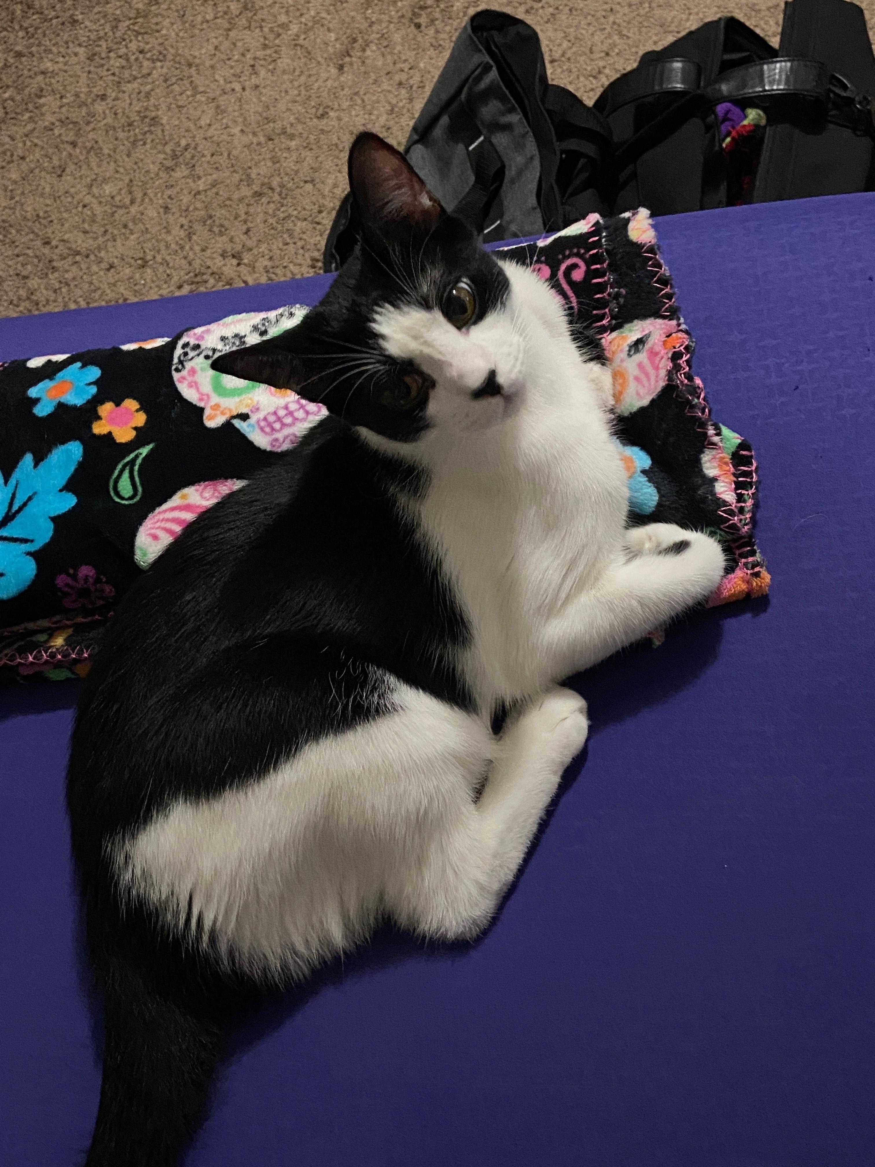 Sammy
