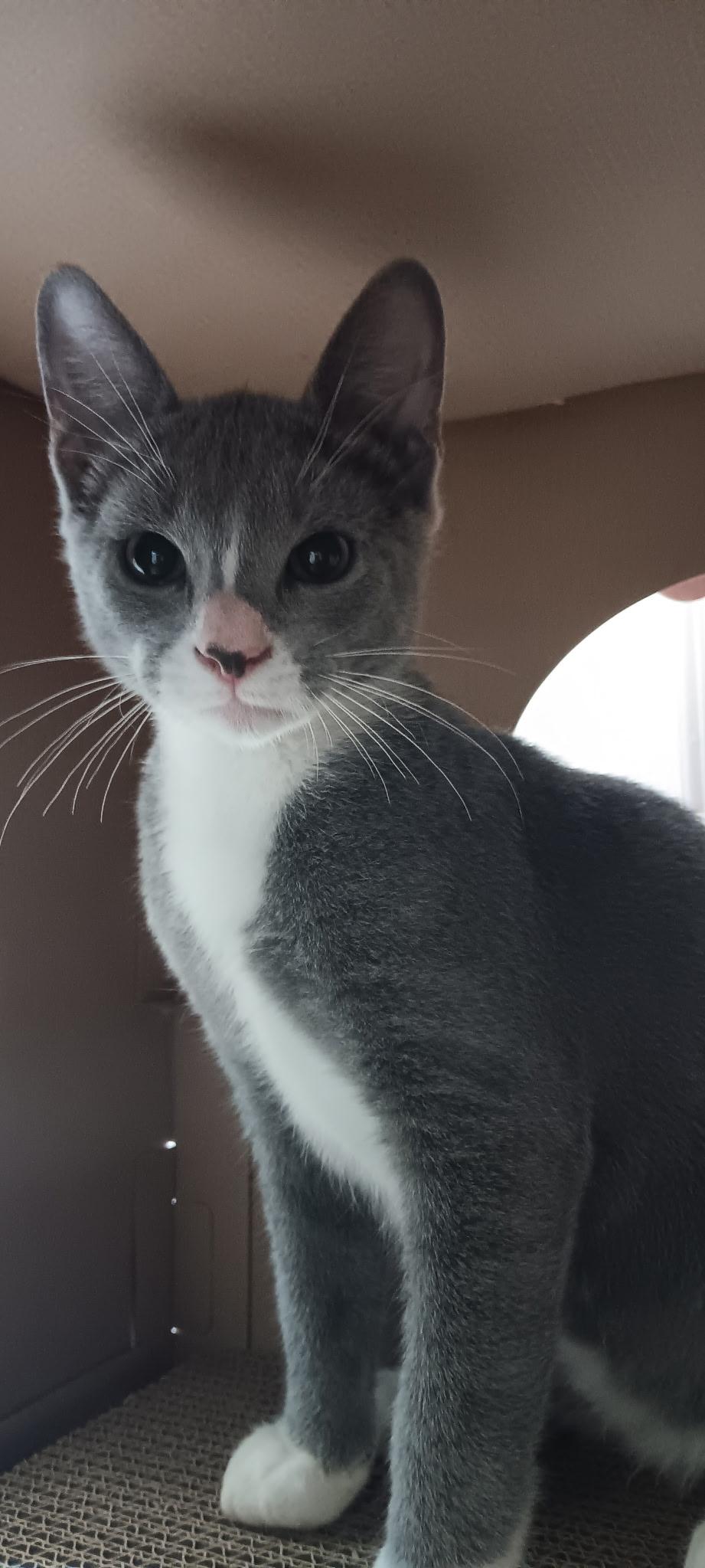 Lionel =^.^=