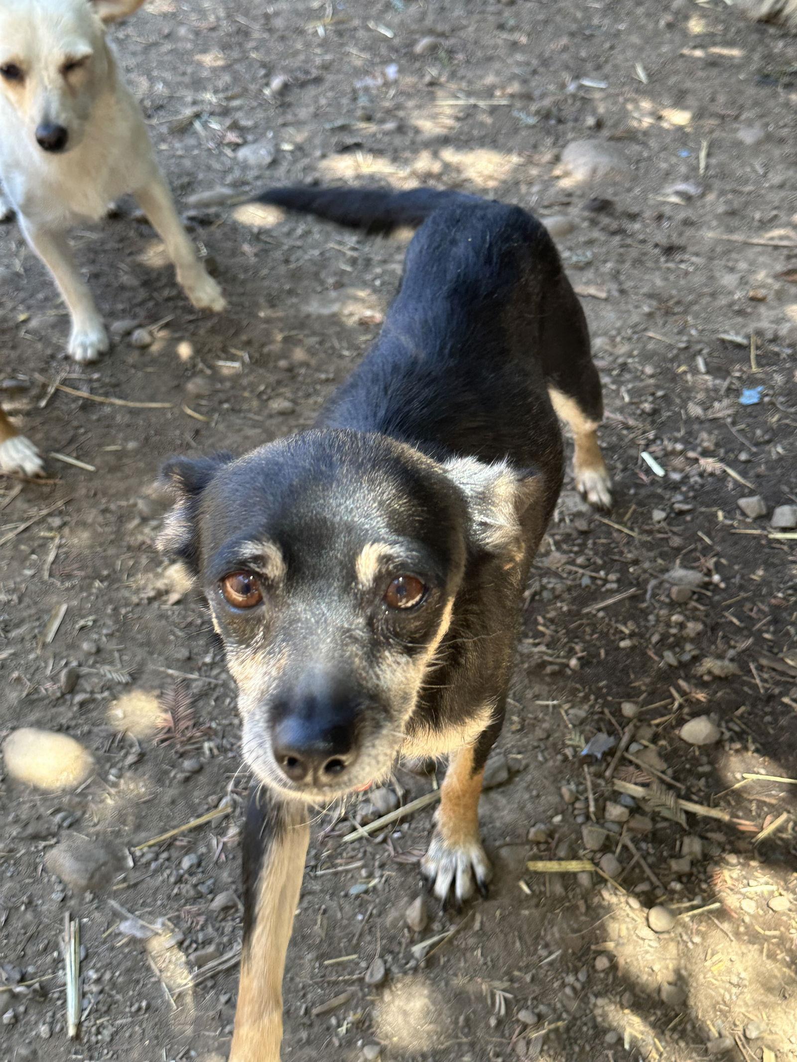 McMuffin — thumbnail 6