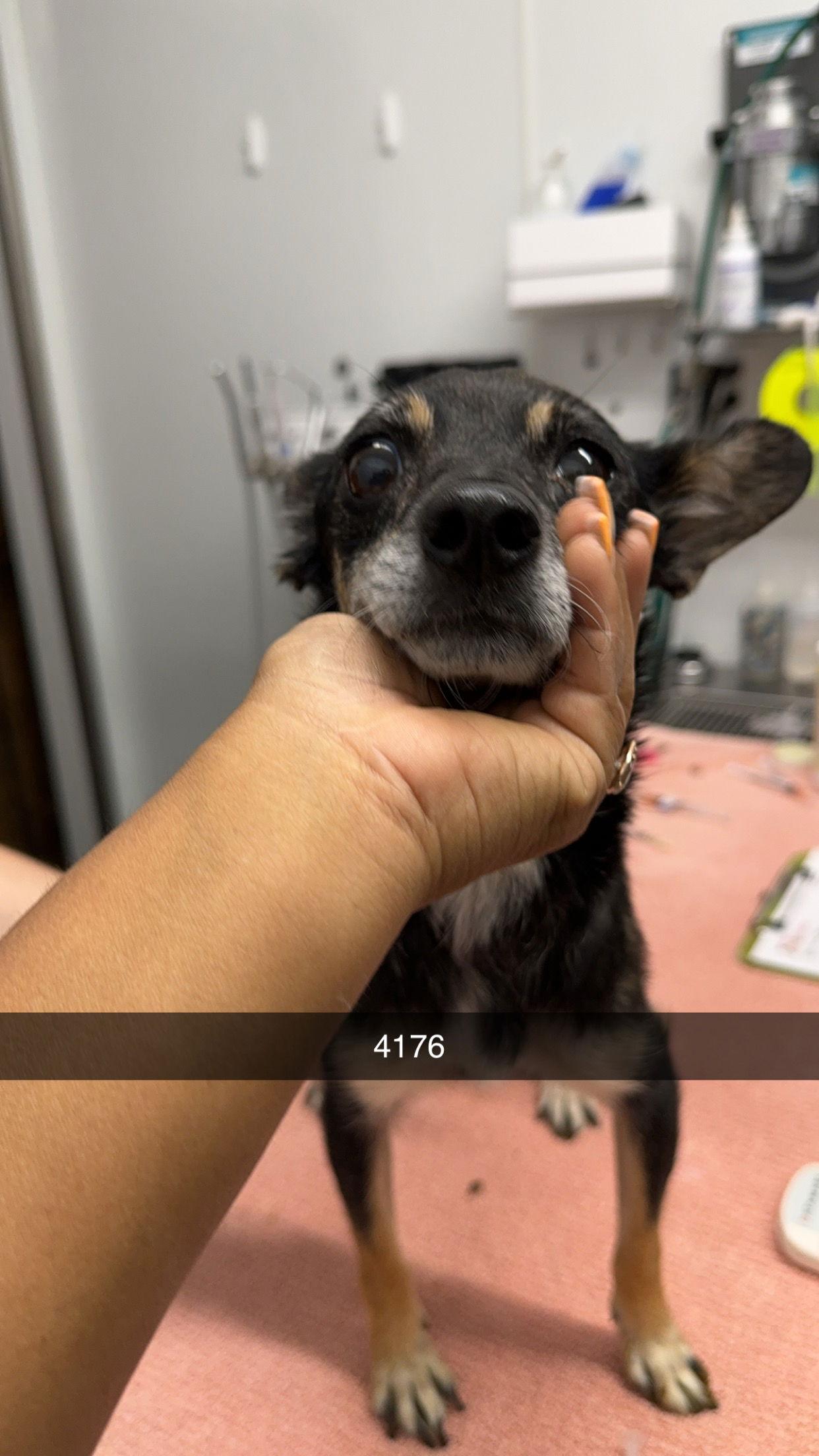 McMuffin — thumbnail 7