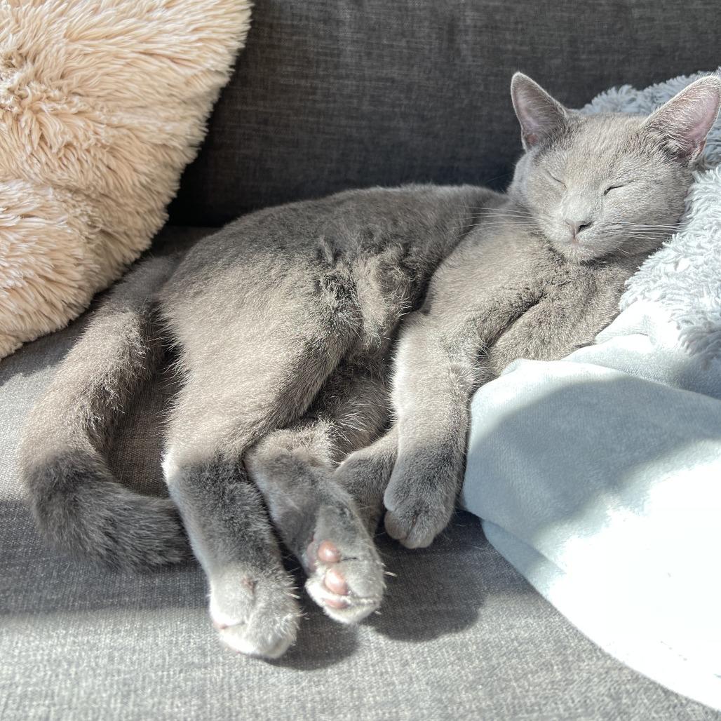 Luna — thumbnail 2