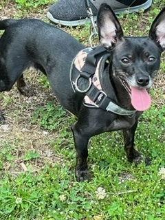 Arya/Aria~ — thumbnail 2