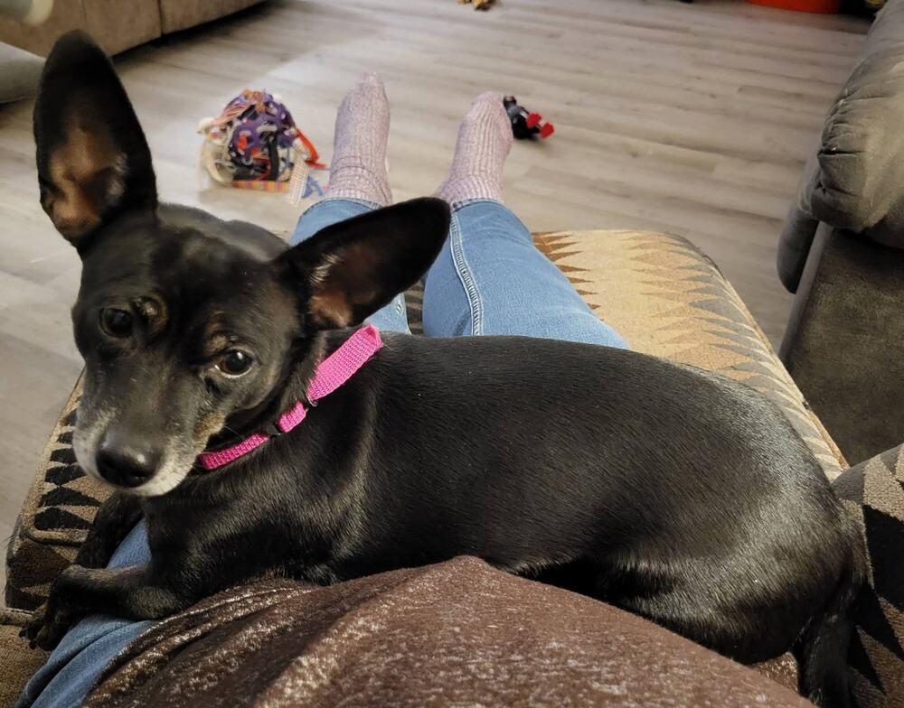 Arya/Aria~ — thumbnail 3