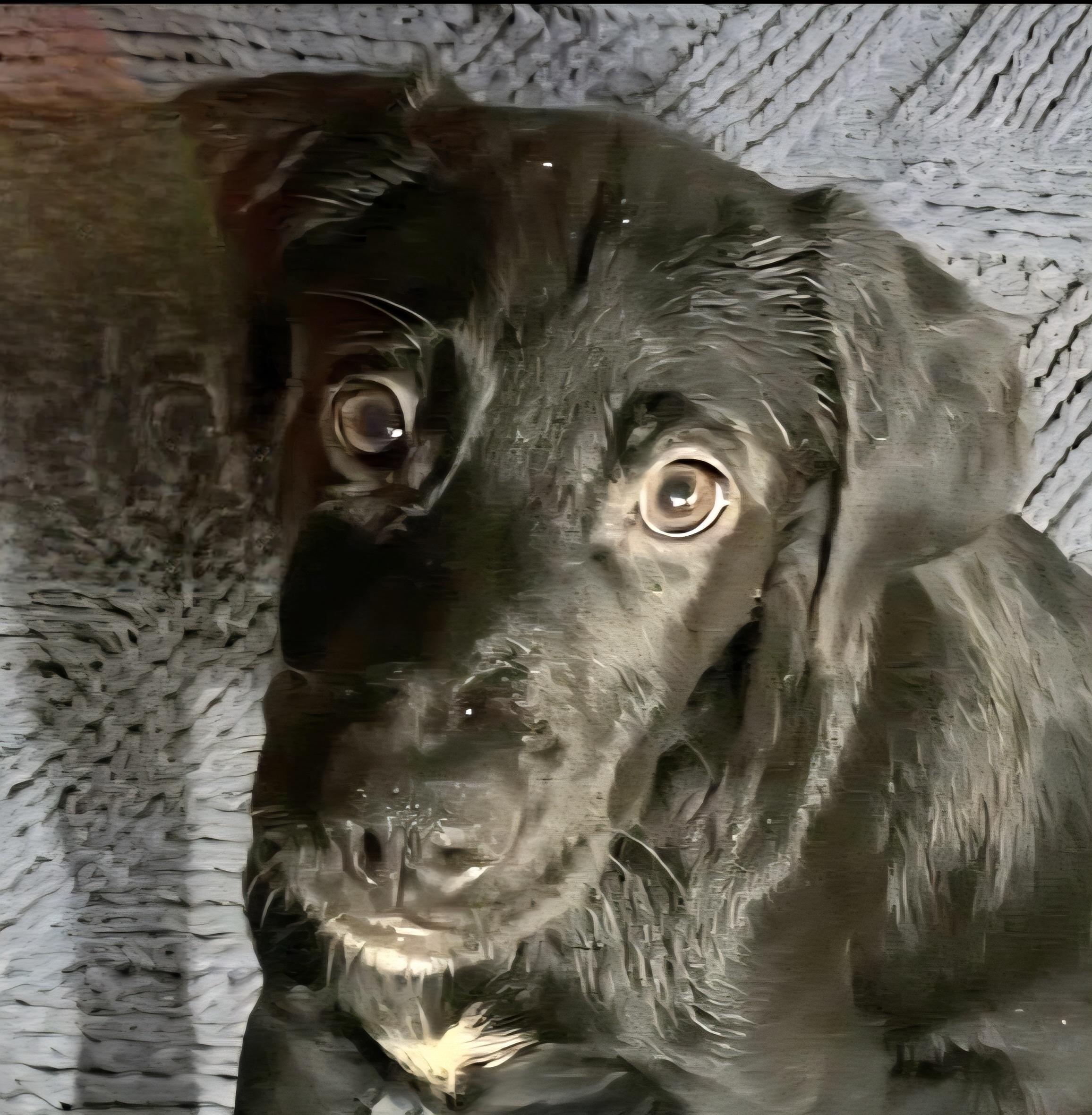 NEGRITO "Let's bond in love."