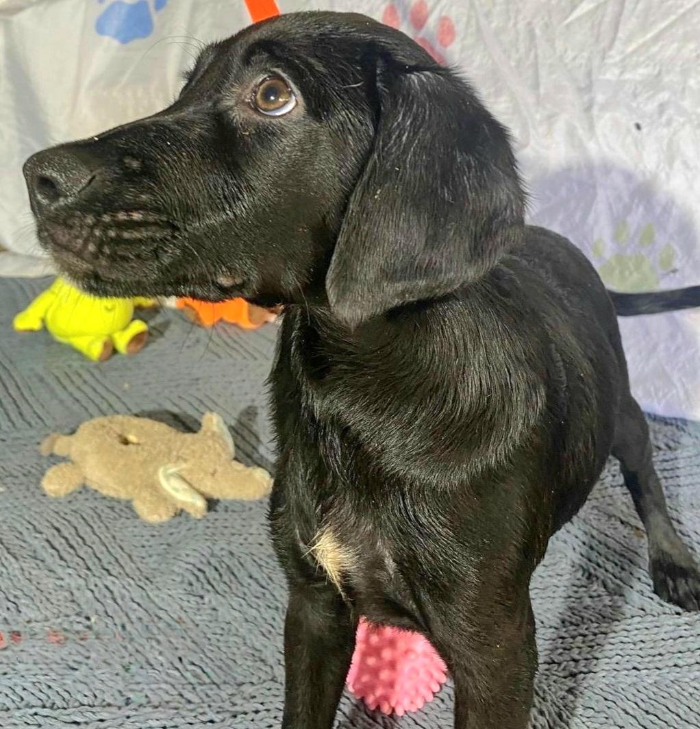 NEGRITO "Let's bond in love." 2