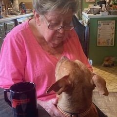 Enlarge Whitney, a ADOPTABLE Mixed Breed in Arlington, TN image 5/5