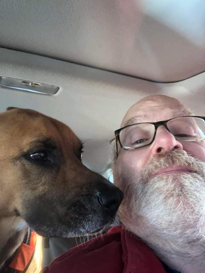 Enlarge Barley - RICHMOND, IN, a Adoptable Mountain Cur in LOWELL, IN image 2/6