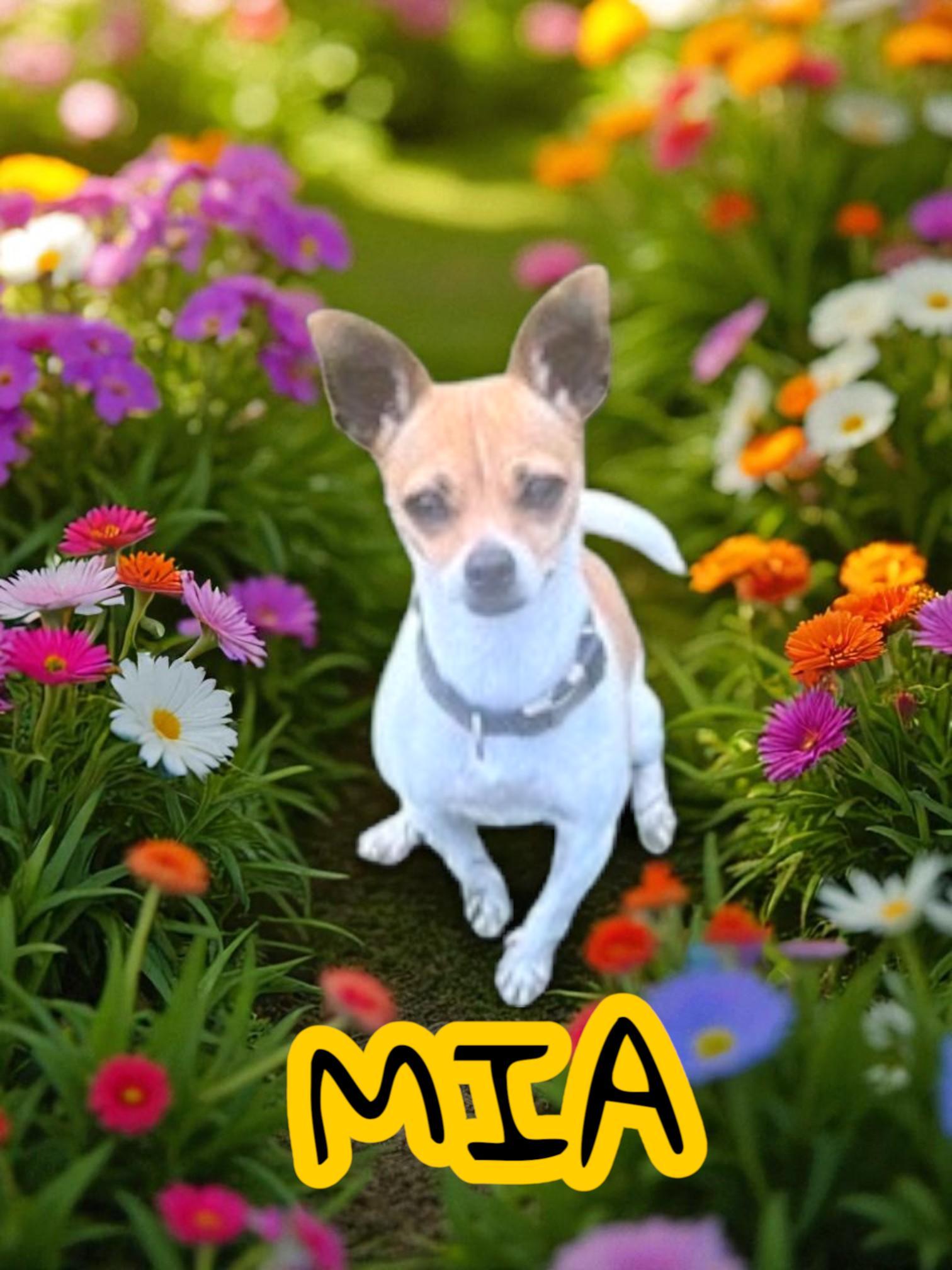 Mia