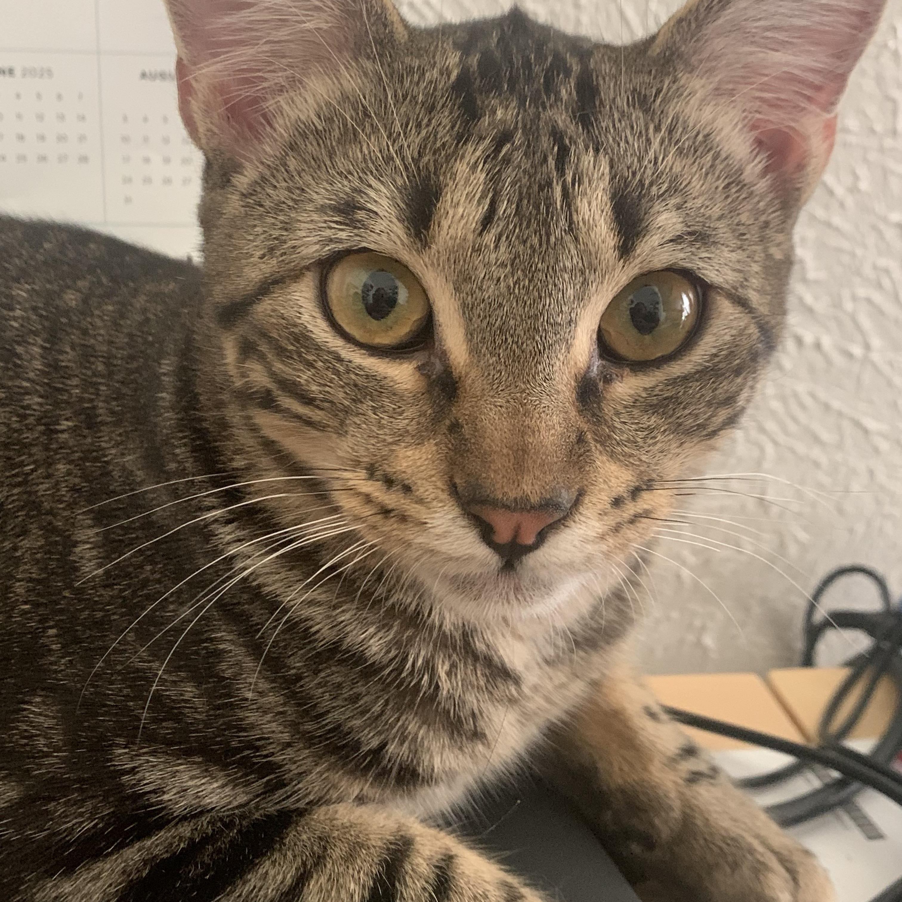 Fred