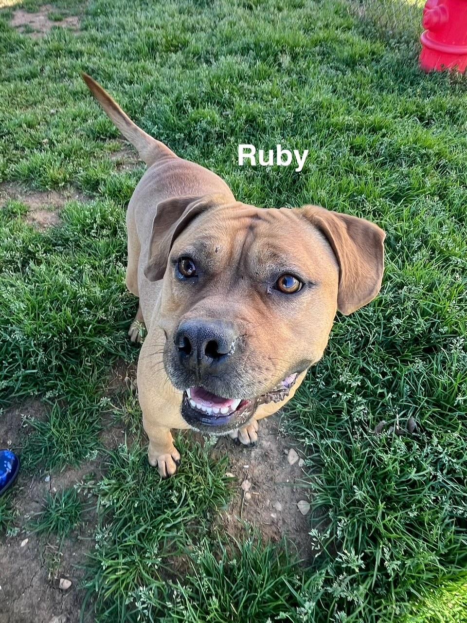 Ruby