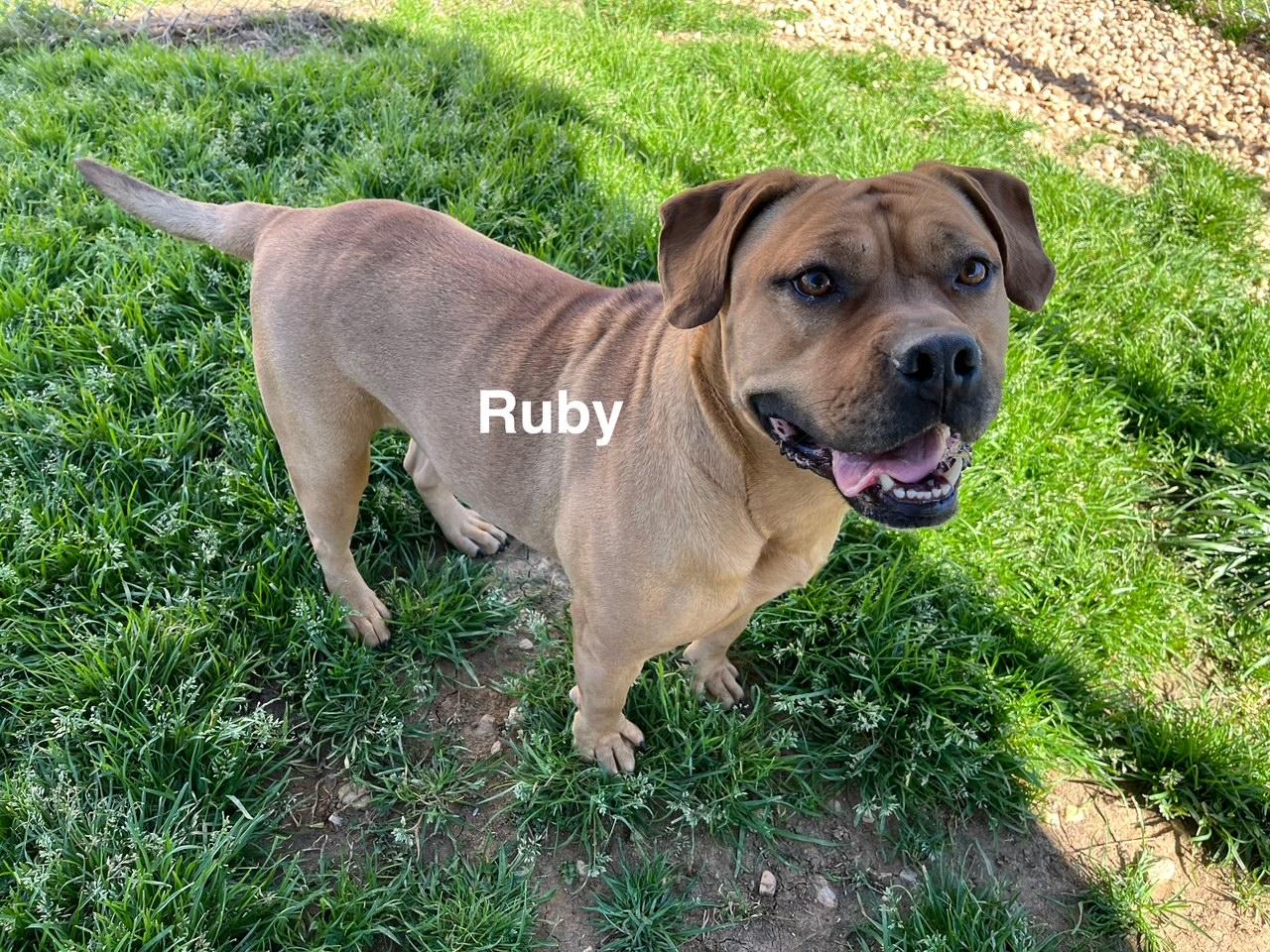 Ruby