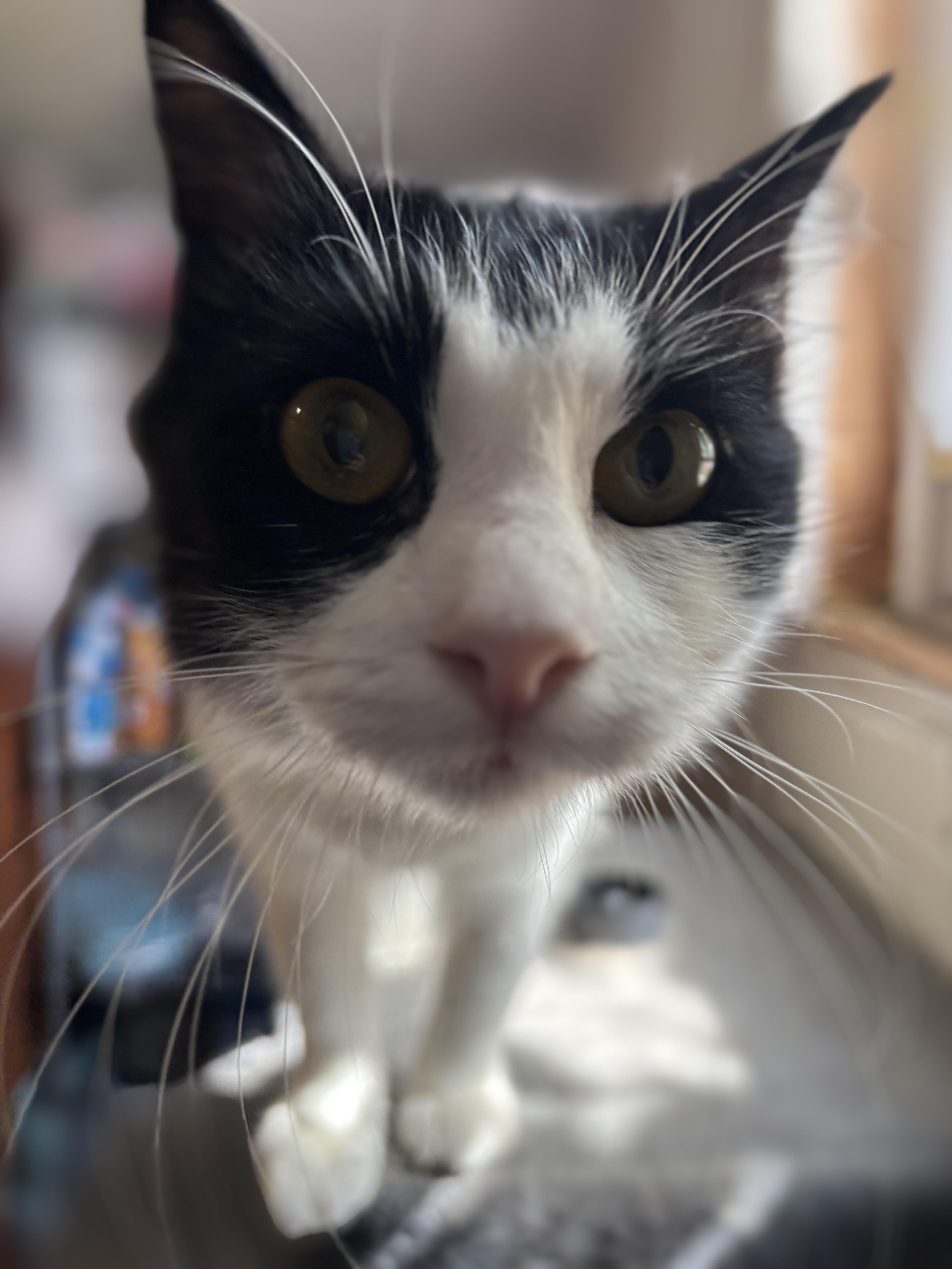 Maya photo 3