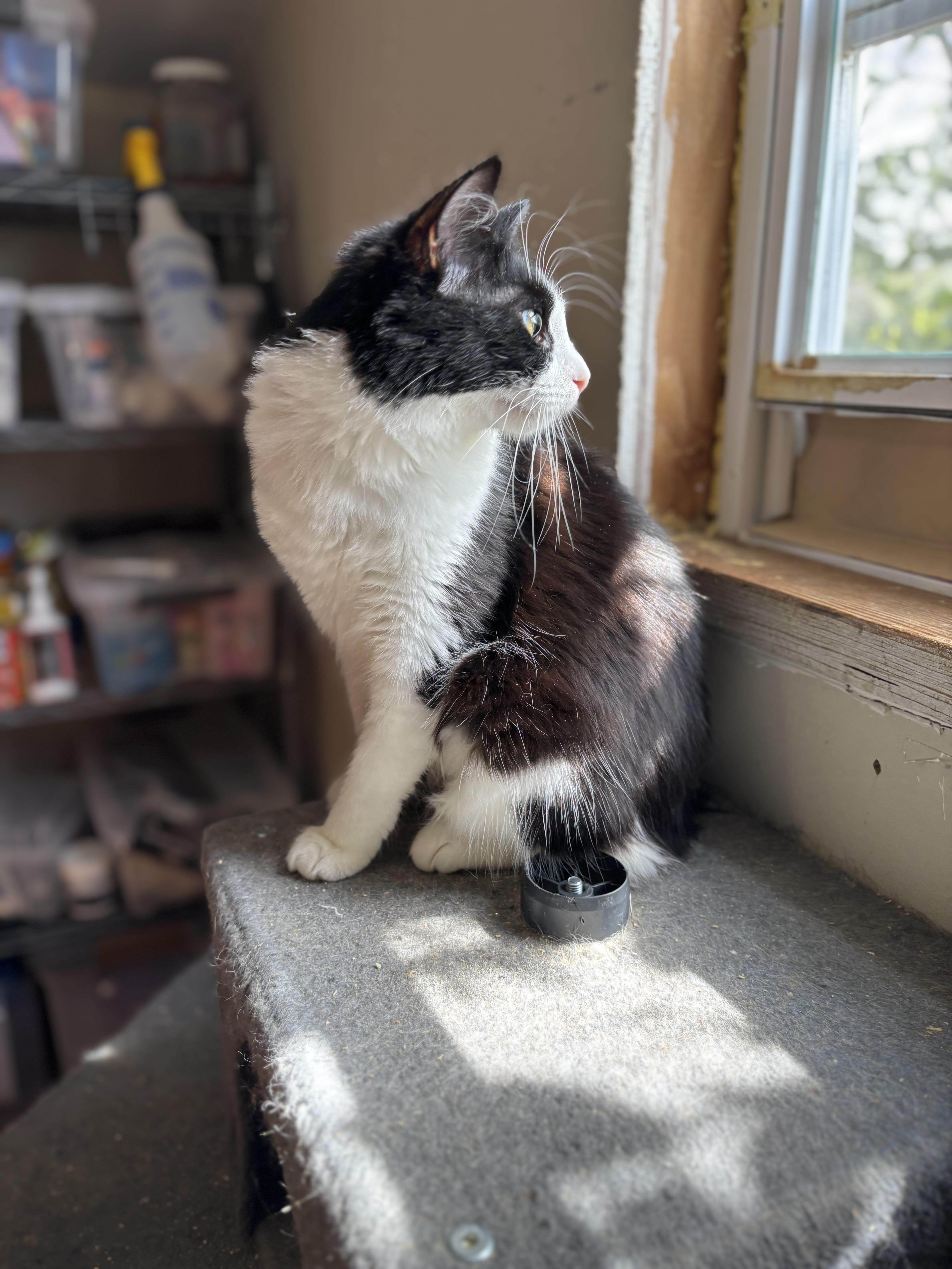 Maya photo 5