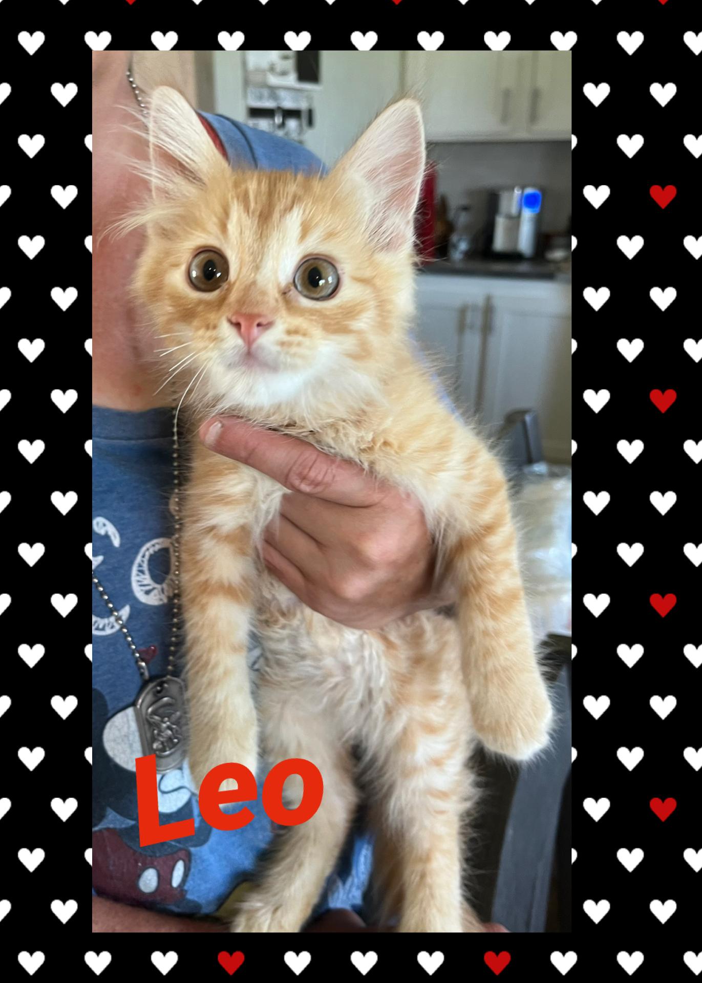 Leo