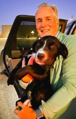 Enlarge Gigi, a Adoptable mixed breed in Mount Laurel, NJ image 3/3