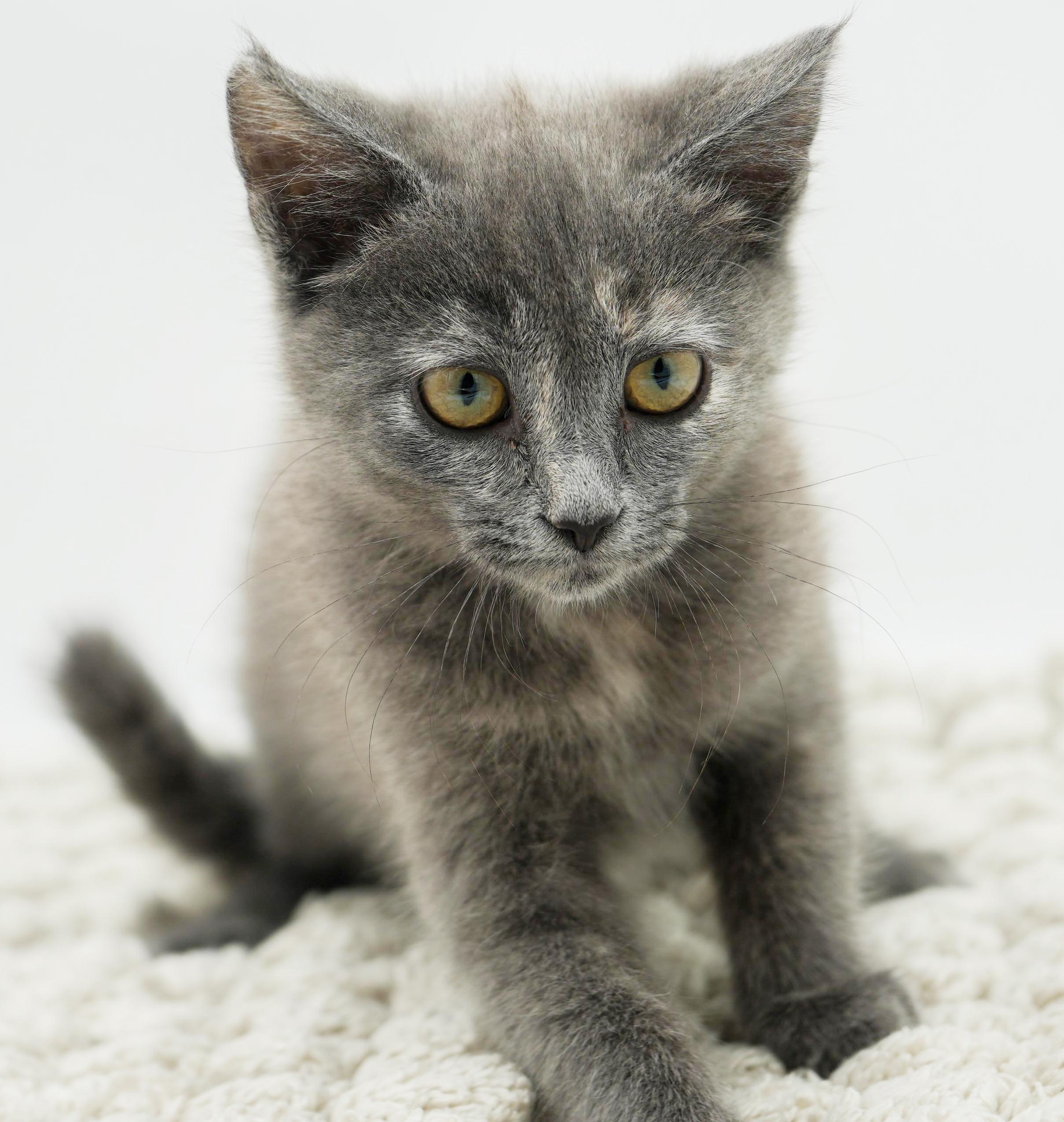 Zayley Will Rock Your thumbnail 2