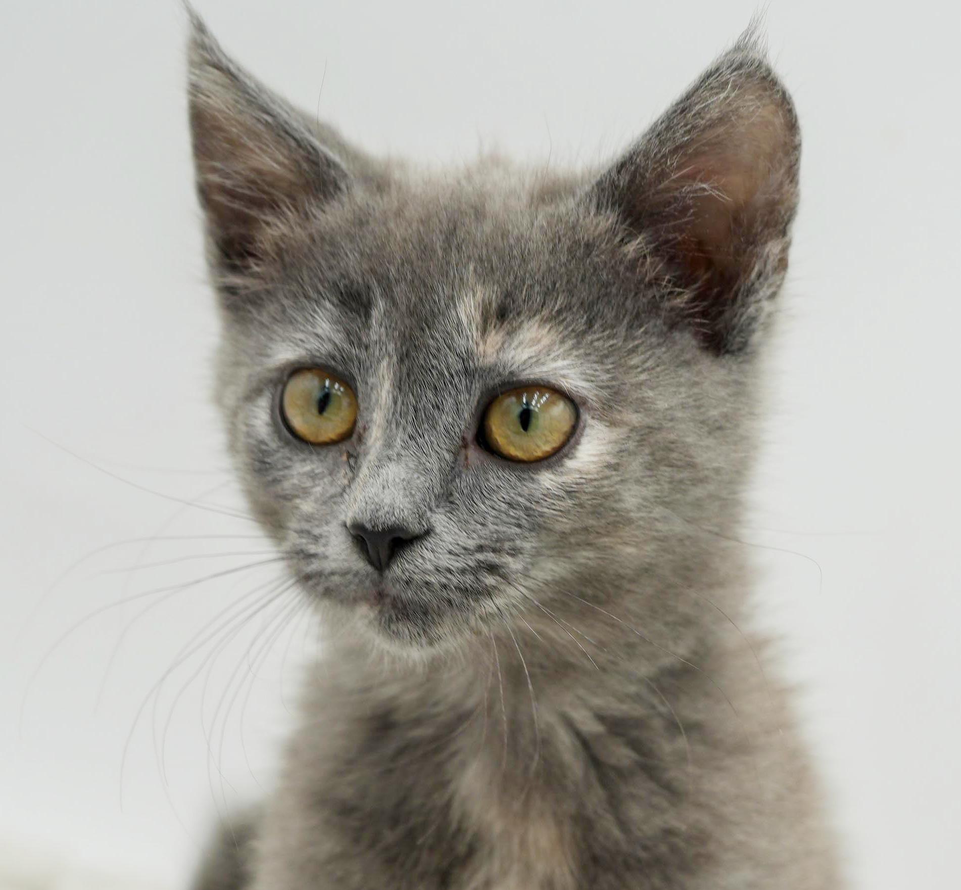 Zayley Will Rock Your thumbnail 4