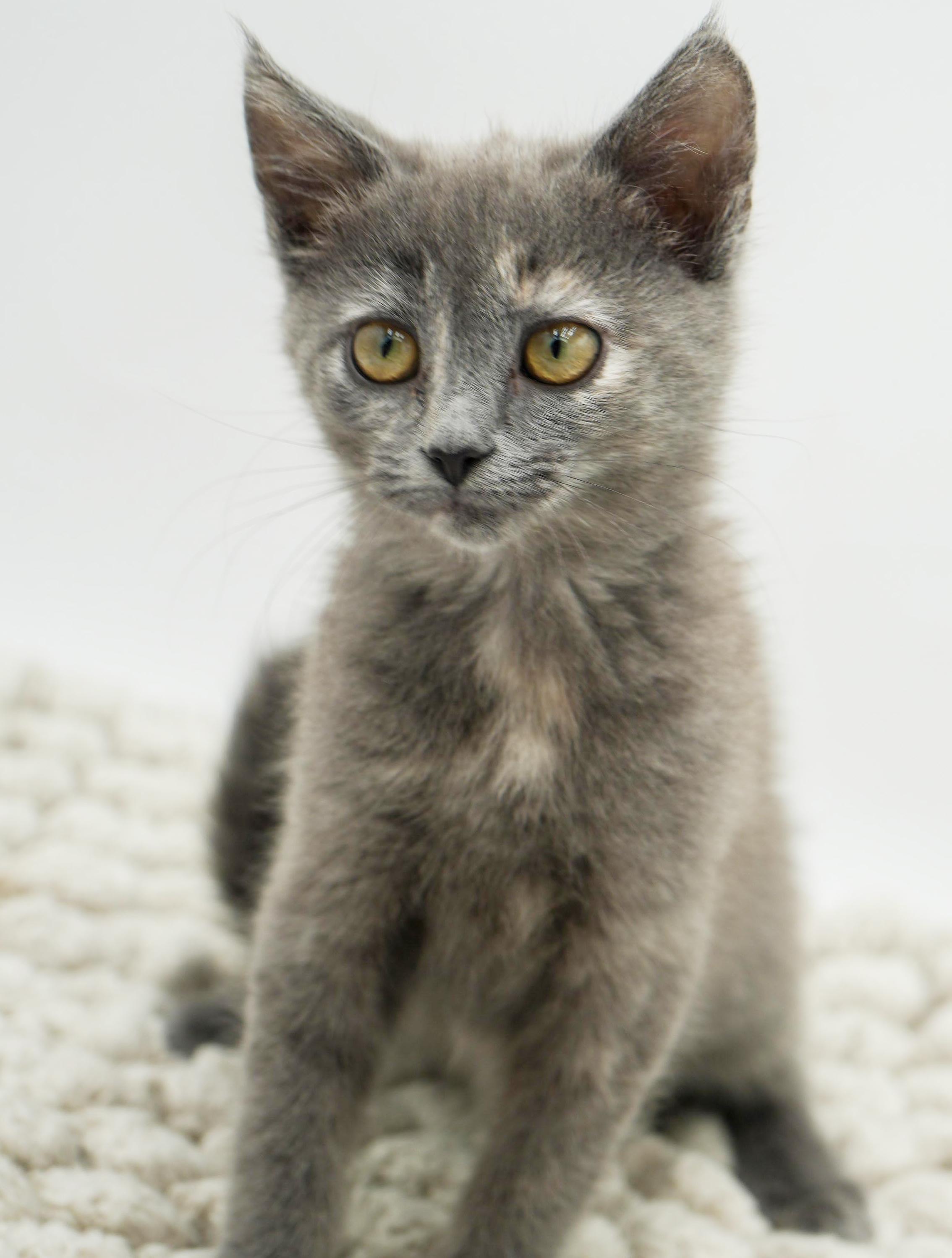 Zayley Will Rock Your thumbnail 5