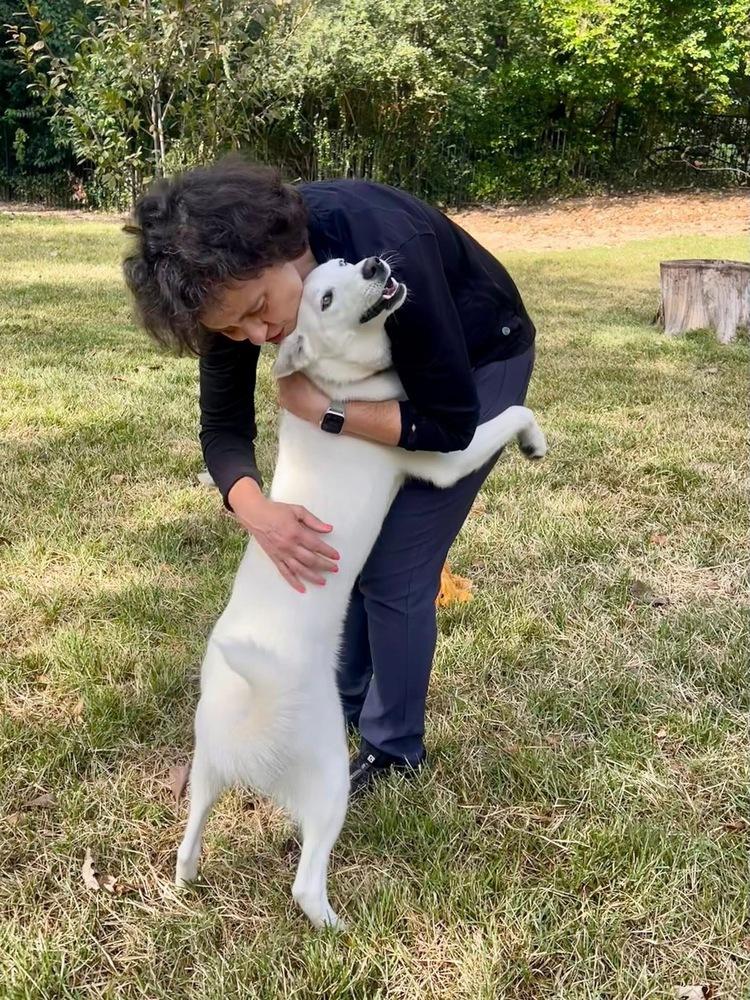 Enlarge 25-002 Ida Belle, a Adoptable mixed breed in Richardson, TX image 4/6