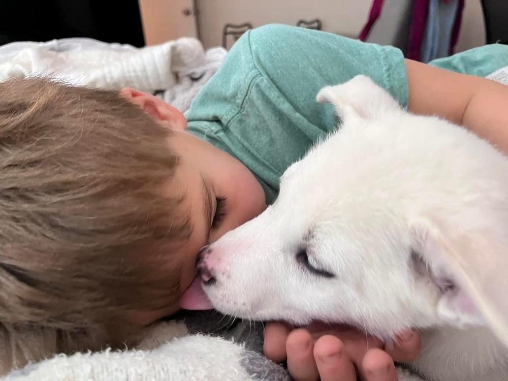 Enlarge 25-002 Ida Belle, a Adoptable mixed breed in Richardson, TX image 6/6