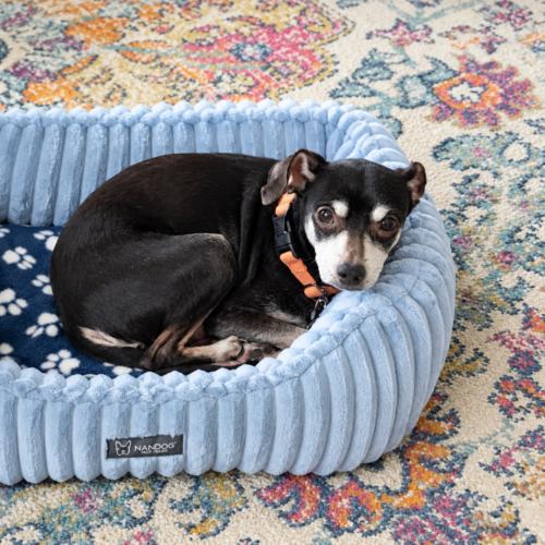 Enlarge Earl, a Adoptable mixed breed in Lincolnshire, IL image 2/4