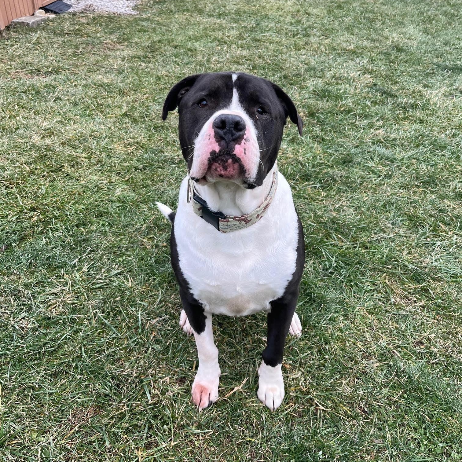 Little John thumbnail 6