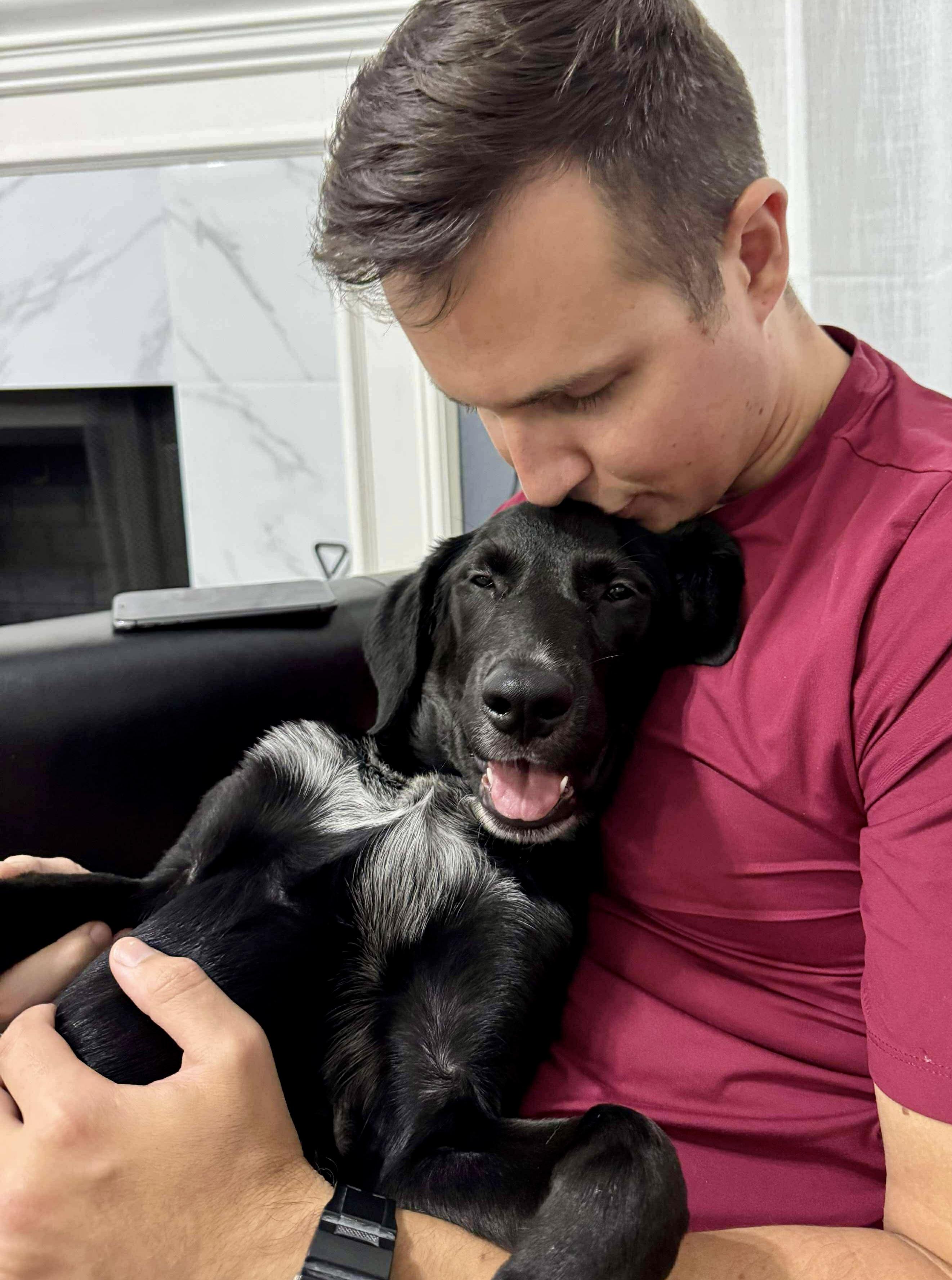 Enlarge Ray, an adoption pending mixed breed in Rye, NY image 4/6