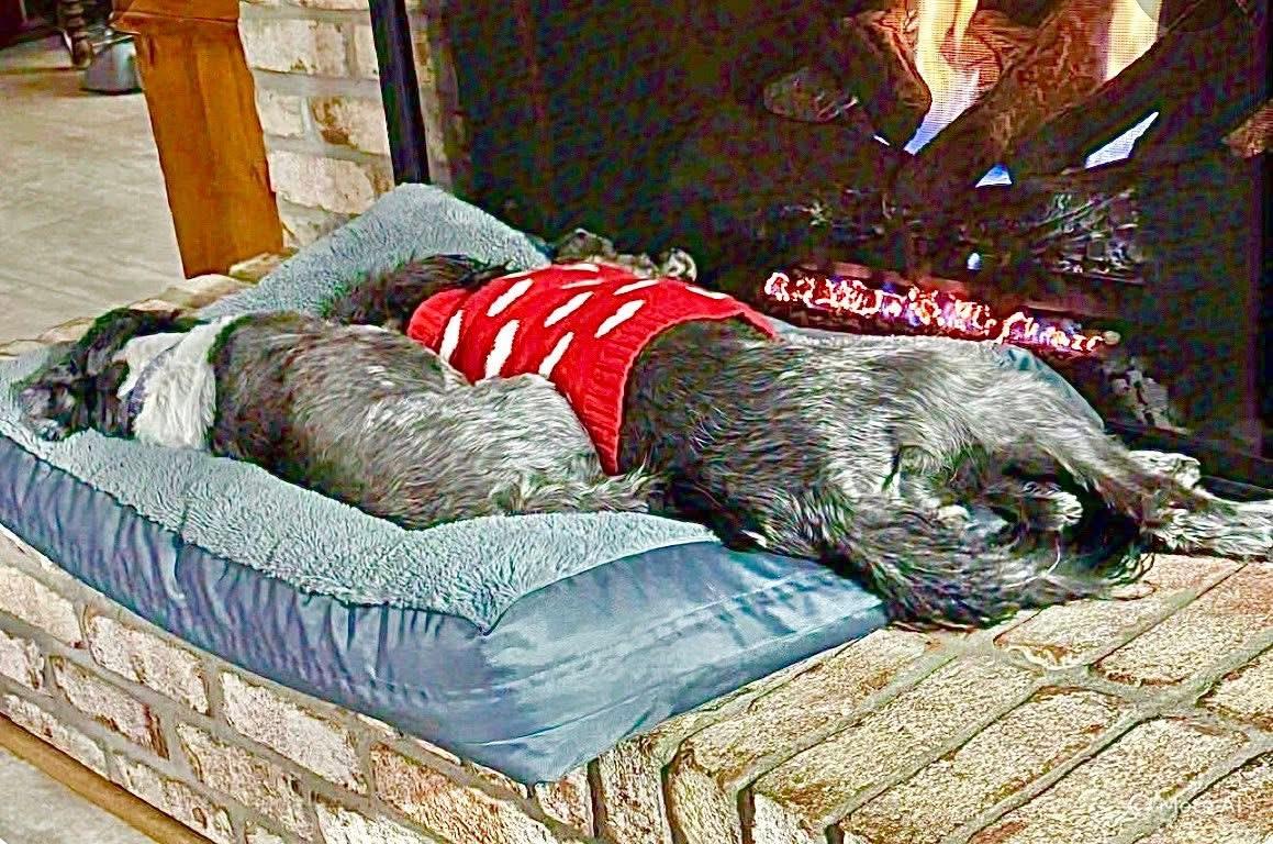 Princess thumbnail 2