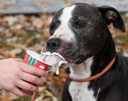 JOHNSTON — thumbnail 2