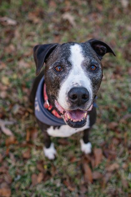 JOHNSTON — thumbnail 3