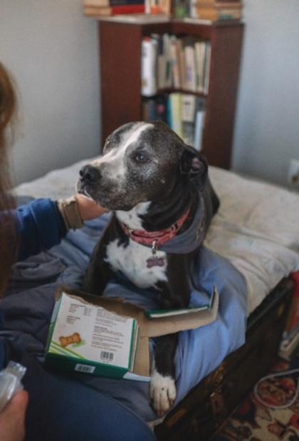 JOHNSTON — thumbnail 4