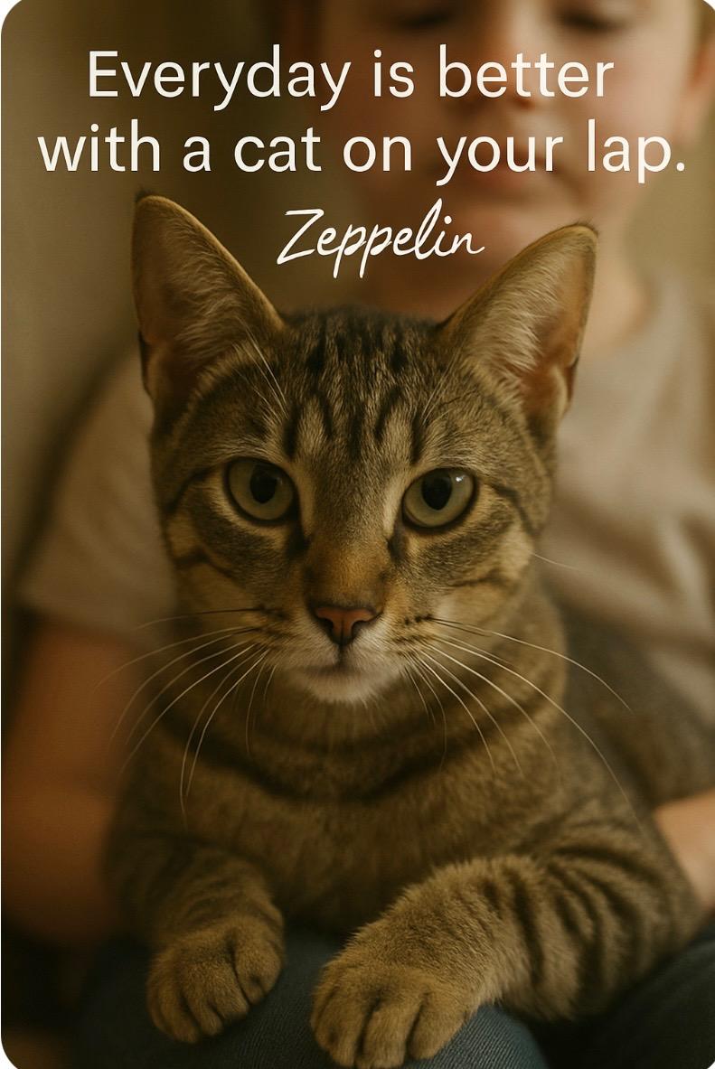 Zeppelin