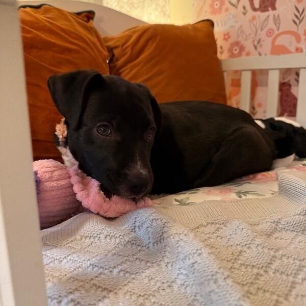 Alaska State — thumbnail 2