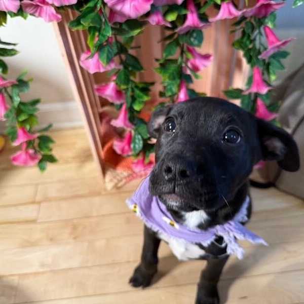 Alaska State — thumbnail 3