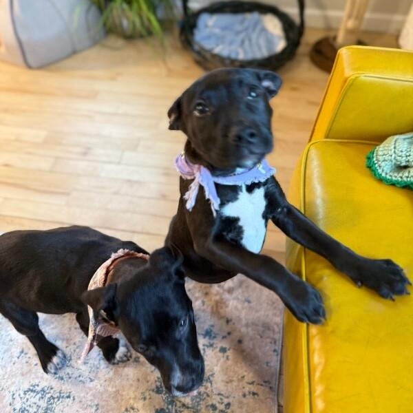 Alaska State — thumbnail 5