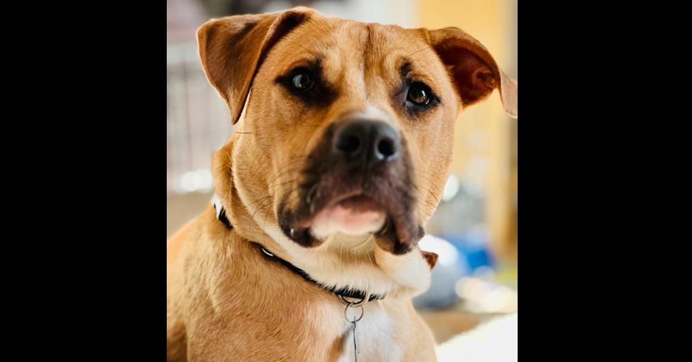 Chance Fka Yoyo thumbnail 4