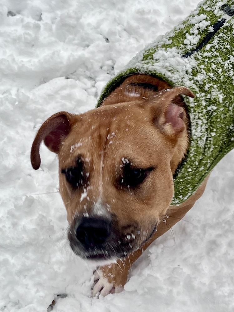 Chance Fka Yoyo thumbnail 5