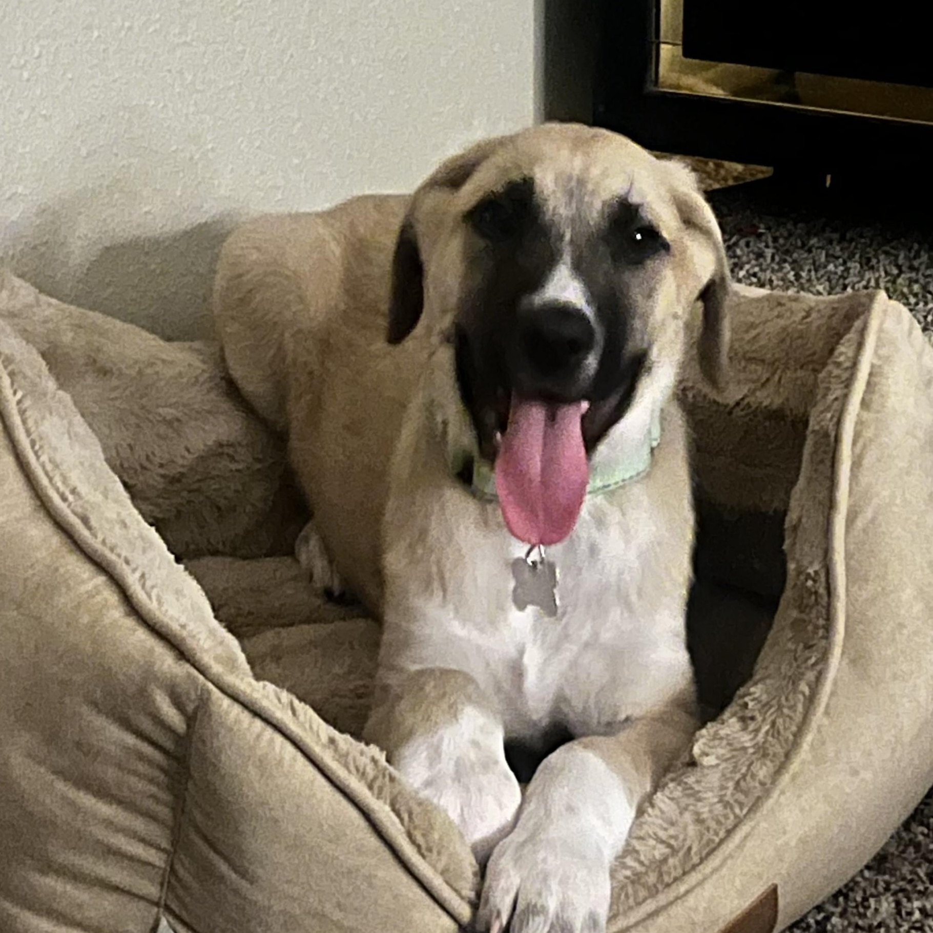 Oetter — thumbnail 2