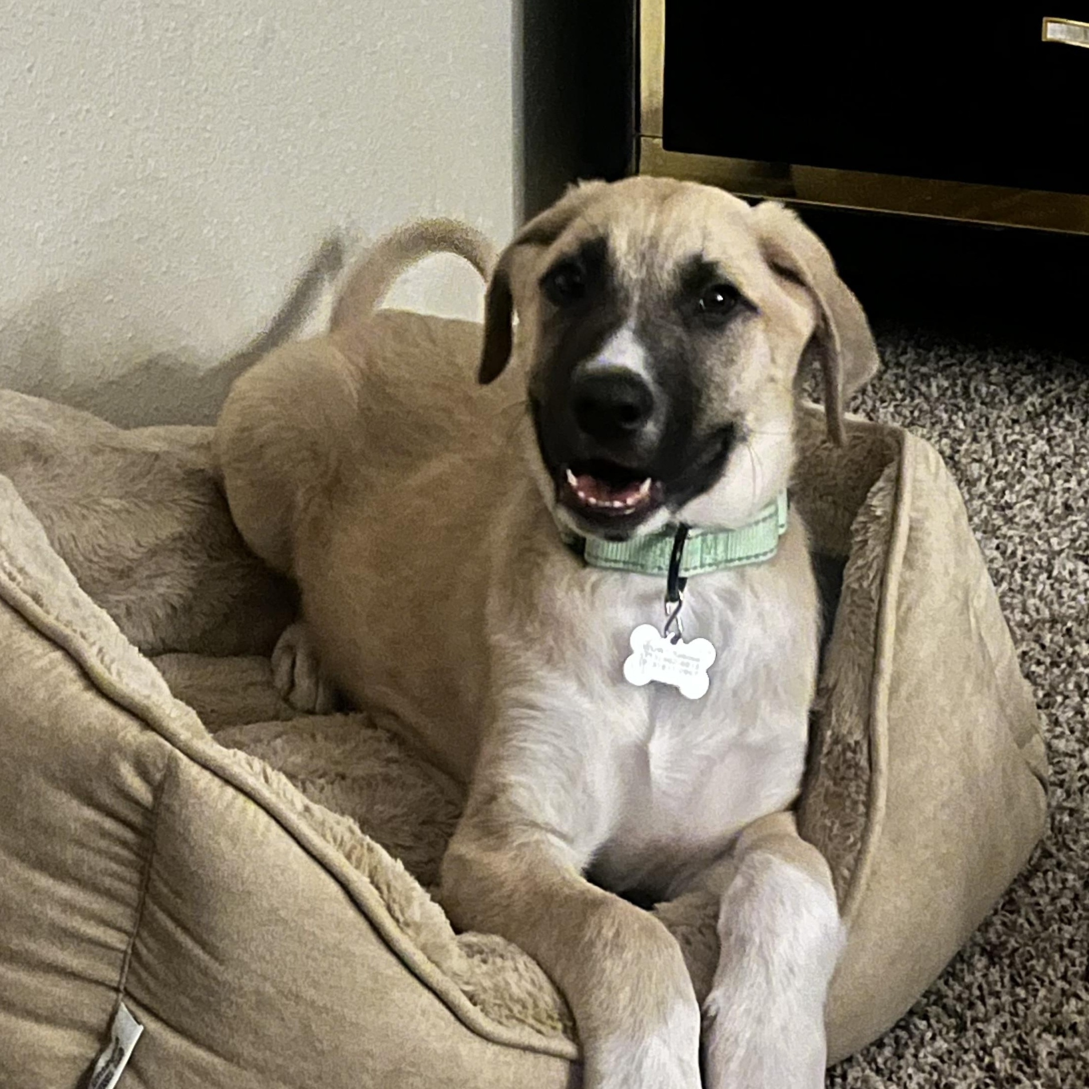 Oetter — thumbnail 3