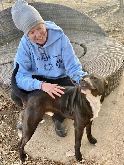 Enlarge Bama, a Adoptable Mixed Breed in Southaven , MS image 3/5