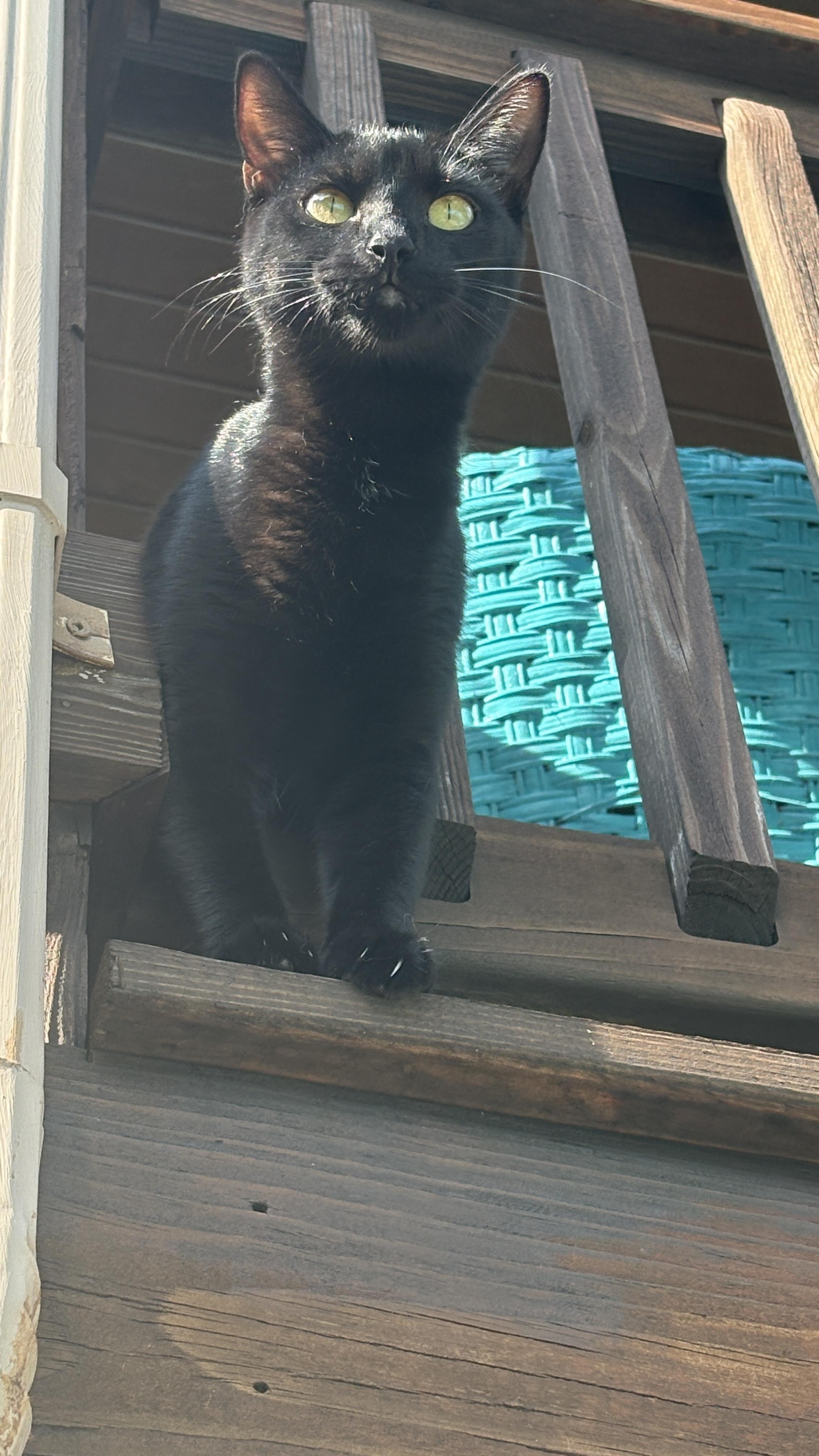 Mighty Marlowe