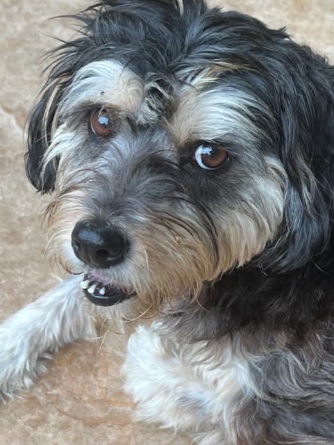 lizzie photo 4