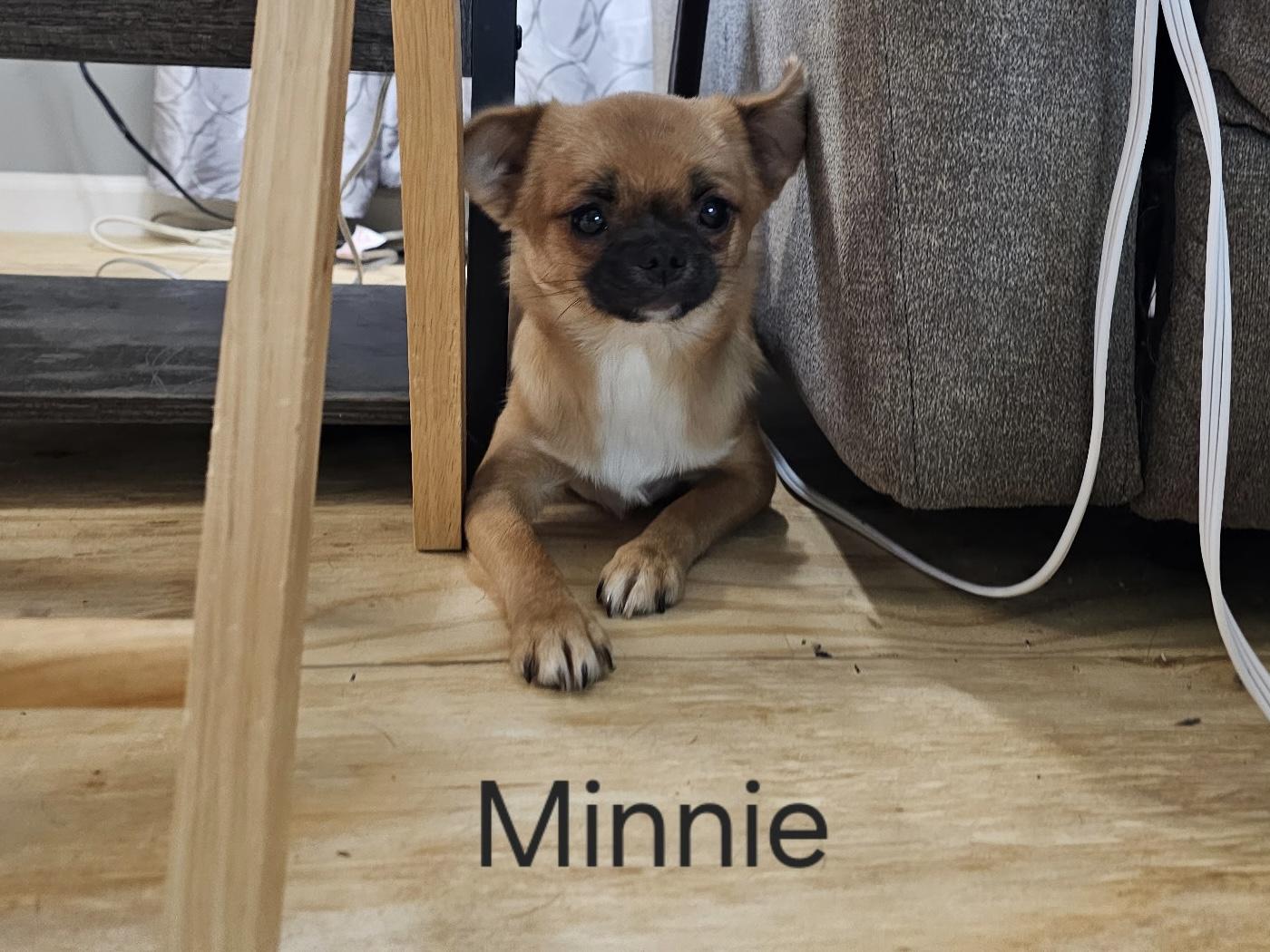 Minnie thumbnail 2