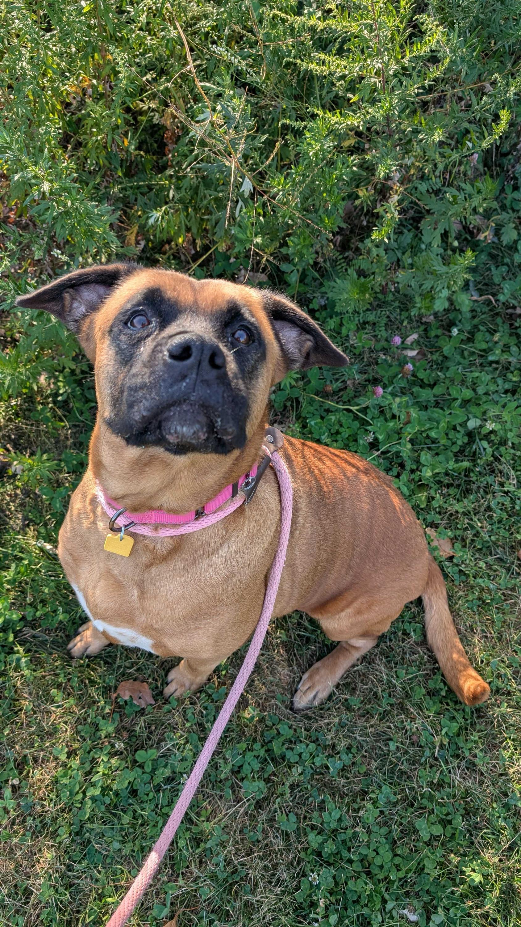 Brenda