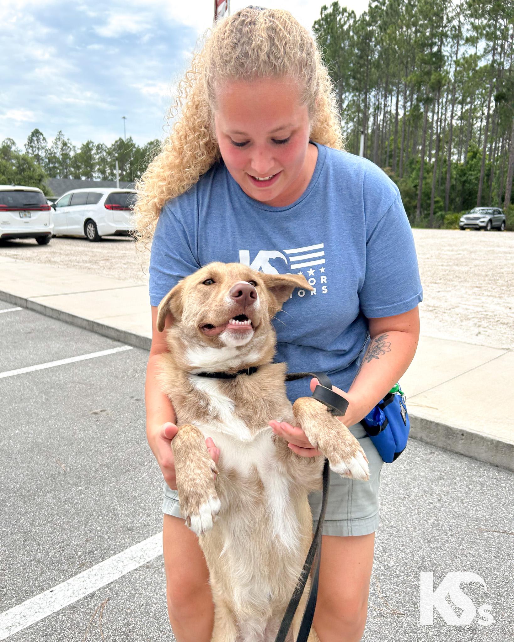 Cammie, a ADOPTABLE mixed breed in Ponte Vedra, FL image 3/6