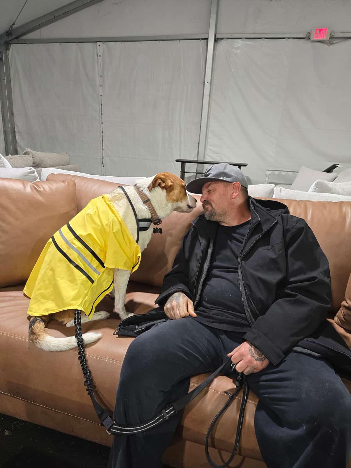 Enlarge Clark, a Adoptable mixed breed in Jurupa Valley  , CA image 3/5