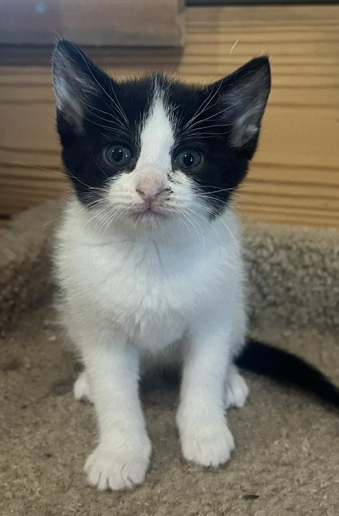 Luna
